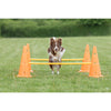 Dog Agility Hurdle Cone Set, Obstacle Training
