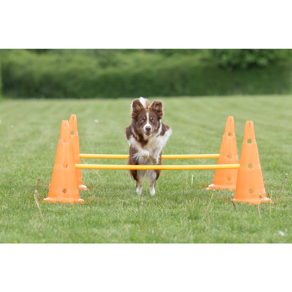 Dog Agility Hurdle Cone Set, Obstacle Training