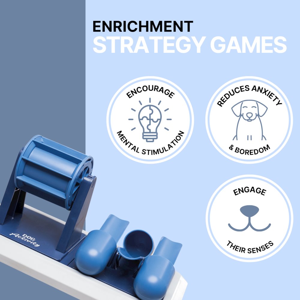 Dog Activity Vario Poker 2 Strategy Game, Level 2 Dog Puzzle Toy