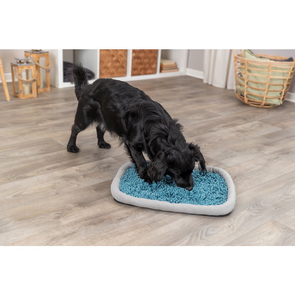 Snuffle & Seek Plate, Sniff Mat, Slow Feeder, Level 1 Enrichment Puzzle