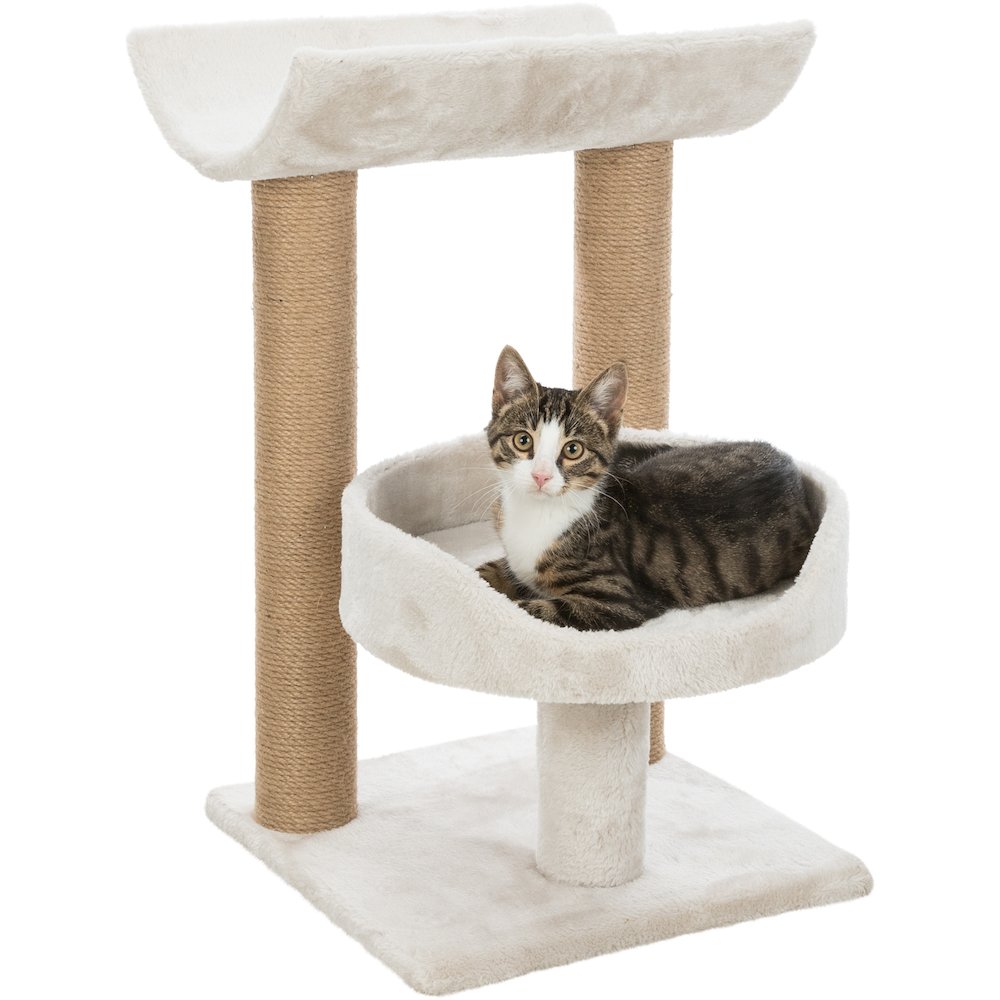 Isaba Plush 2-Level 24.4" Cat Tree with Sisal Scratching Posts, 2 Perch, Greige