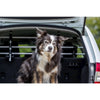 Adjustable Aluminum Grid Back Seat Pet Barrier for Dogs, 37.7 x 13, Silver