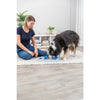 Dog Activity Chess Strategy Game, Level 3, Advanced Dog Puzzle Toy