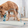 Dog Activity Skills Loop Strategy Game, Level 4 Advanced Food Puzzle