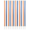 Dog Agility Slalom Set, 12 Piece Weaving Poles