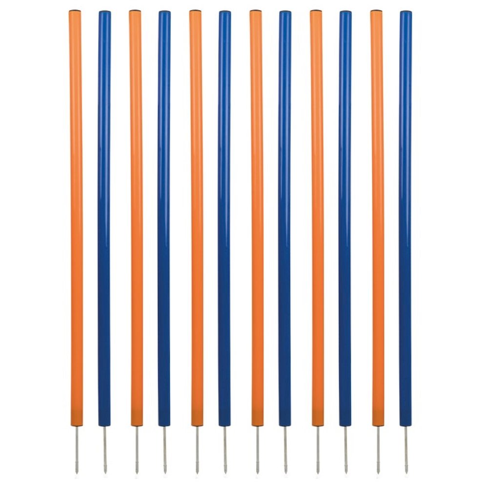 Dog Agility Slalom Set, 12 Piece Weaving Poles