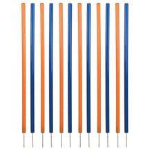 Dog Agility Slalom Set, 12 Piece Weaving Poles