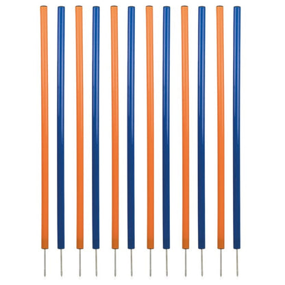 Dog Agility Slalom Set, 12 Piece Weaving Poles