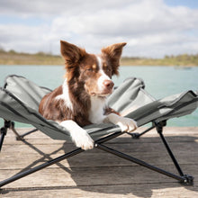 Elevated Camping Cot, Folding Dog Bed, Raised Travel Lounger for Medium Dogs