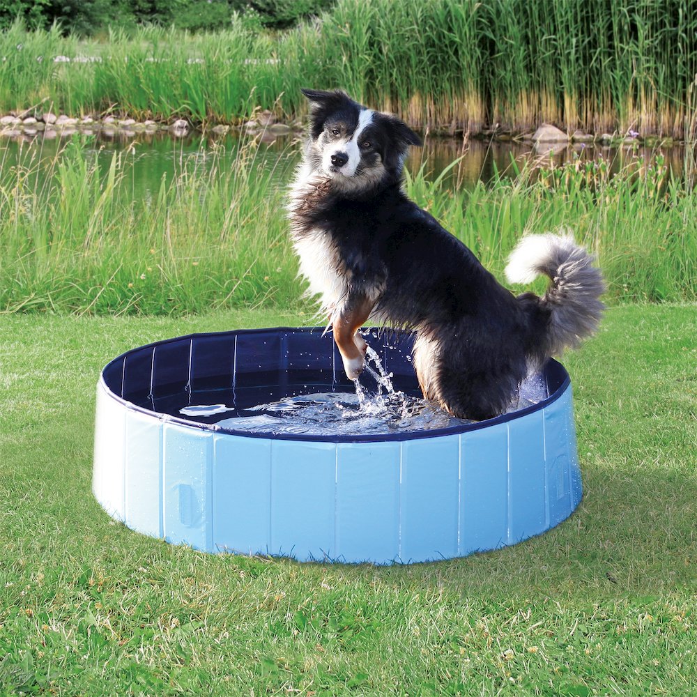 47" Outdoor Splash Pool for Dogs, Foldable Playpen, Bathtub, Blue, Large