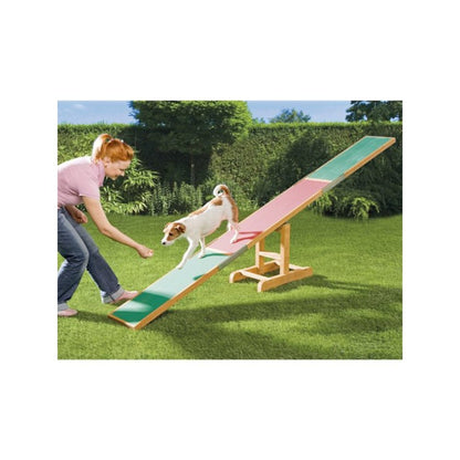 Dog Agility Seesaw, Obstacle Training