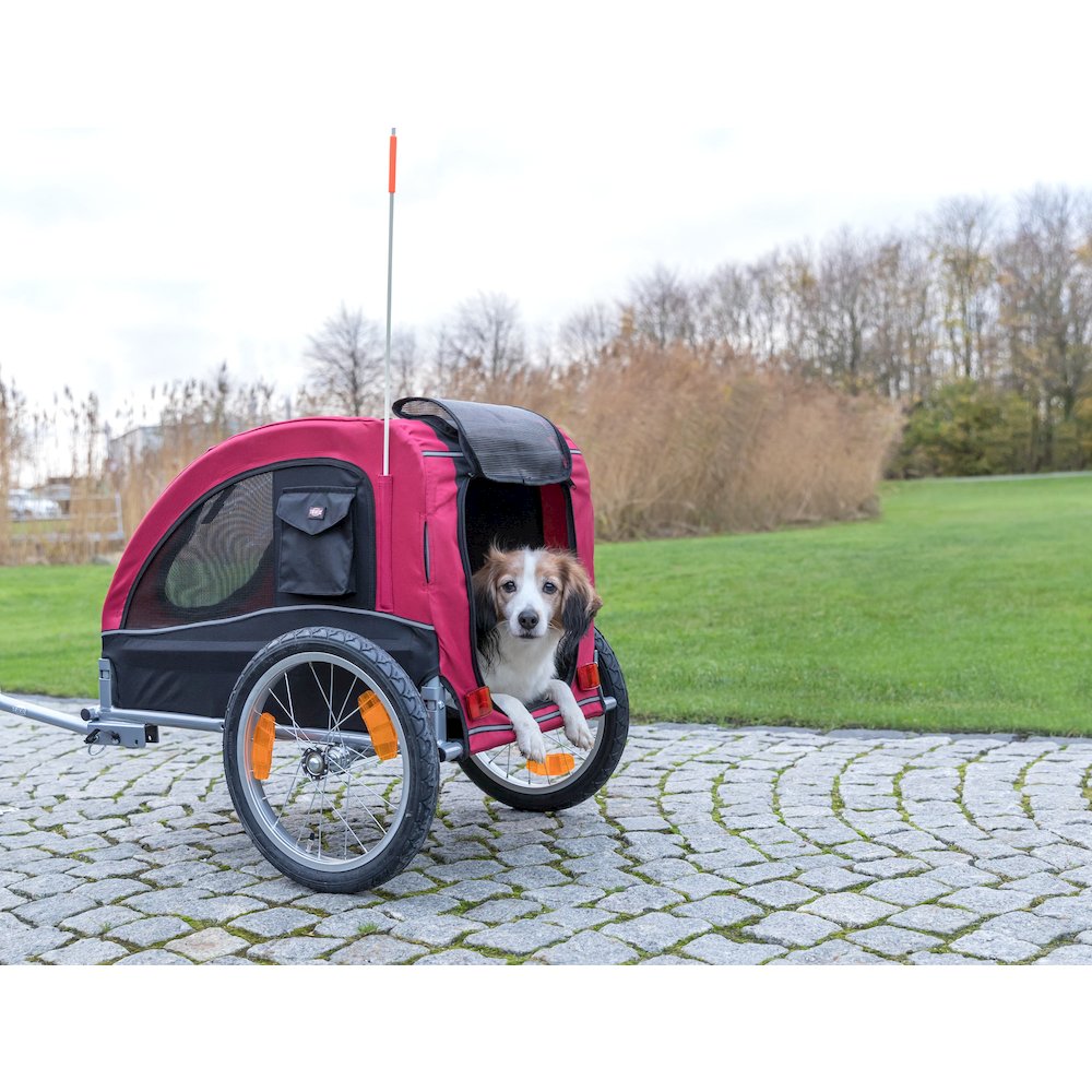 Foldable 2-in-1 Bicycle Trailer for Medium Dogs with Windows, Black & Red