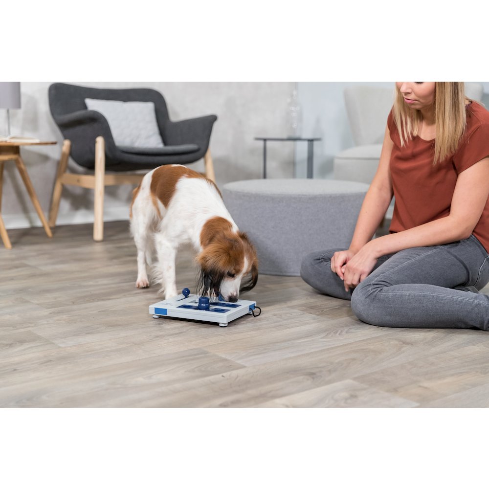 Dog Activity Mini Mover Strategy Game, Level 2 Dog Puzzle Toy, Treat Dispenser
