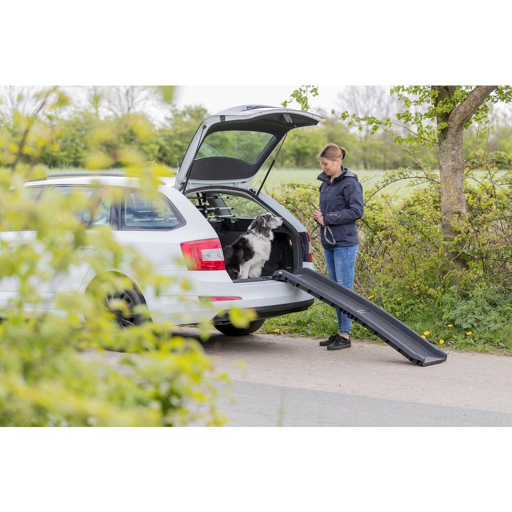 Foldable Non-Slip 62" Long Plastic Pet Ramp, Black, 200 lb Limit