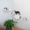 Multi-Level Wall Mounted Cat Perch and Lounge Set with Condo & Hammock, 4 Piece