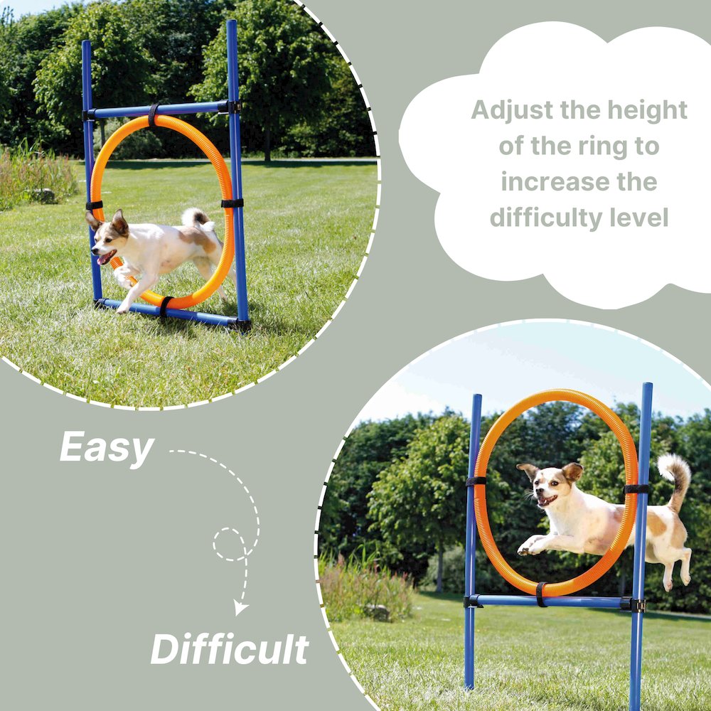 Dog Agility Jumping Ring Training  Set