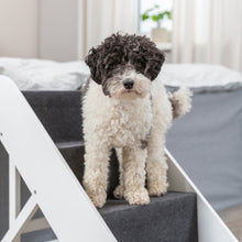 Adjustable 4-Step Pet Stairs, White