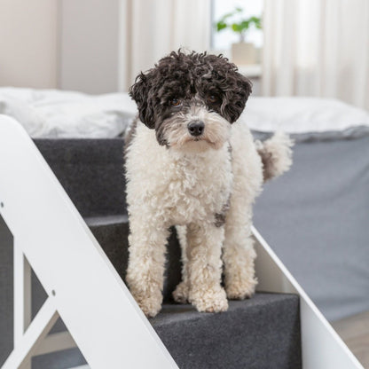 Adjustable 4-Step Pet Stairs, White