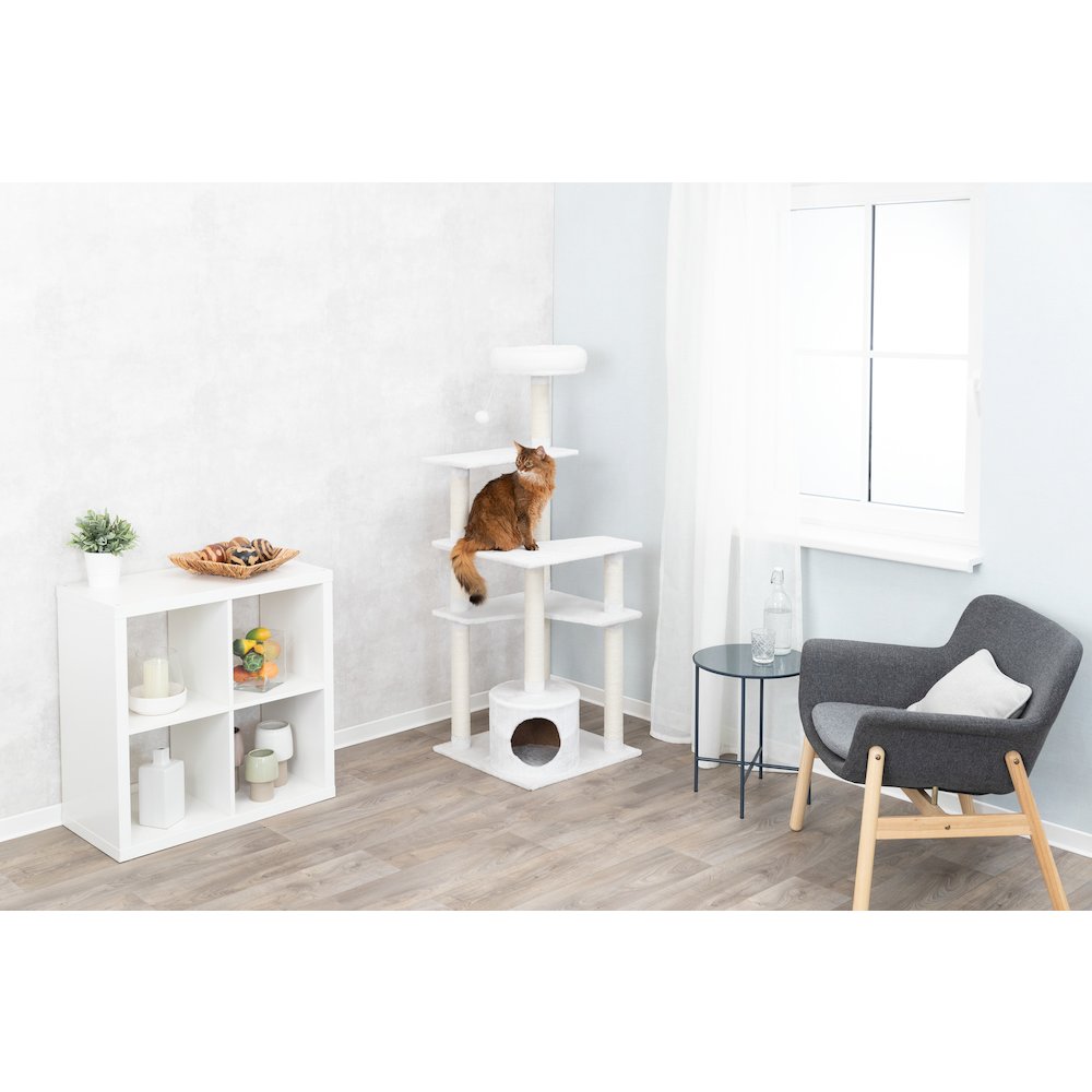 Seli Plush 4-Level 59" Cat Tree with Sisal Scratching Posts, Condo & Cat Toy