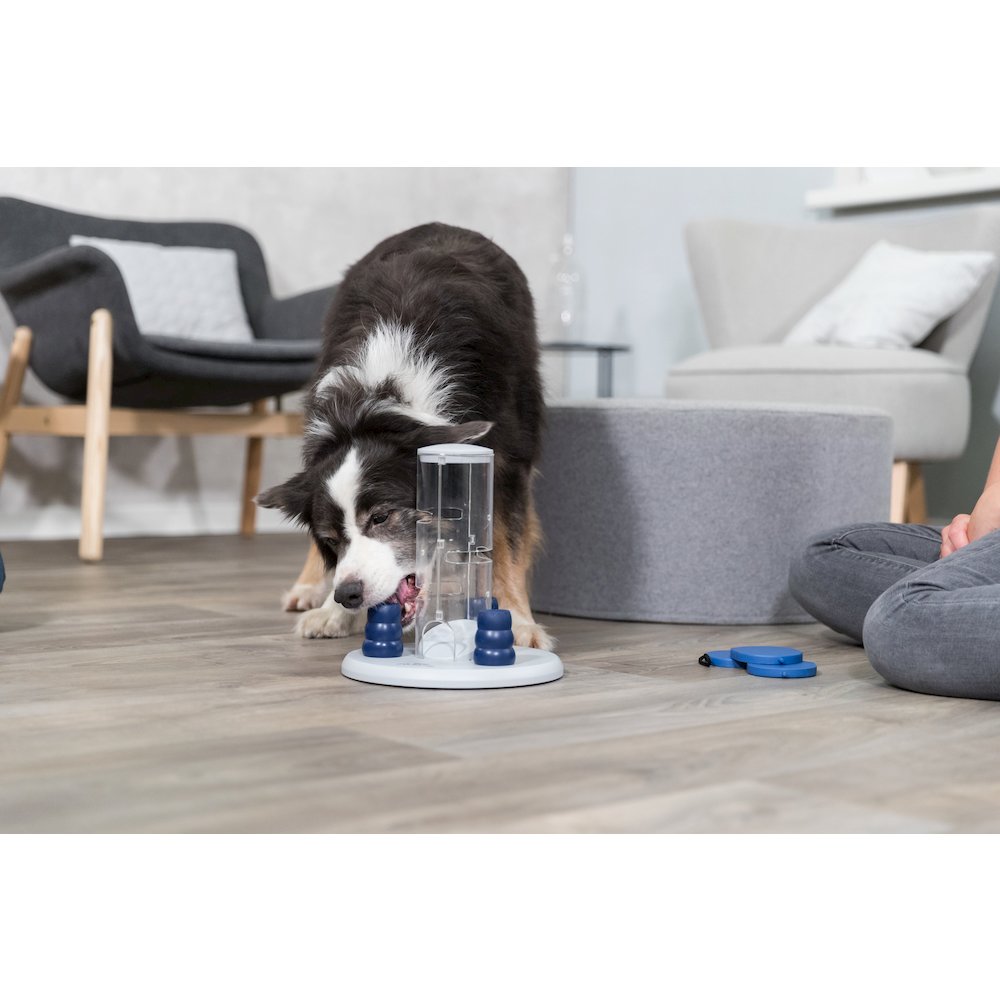 Dog Gambling Tower Strategy Game, Level 1, Beginner Dog Puzzle Toy