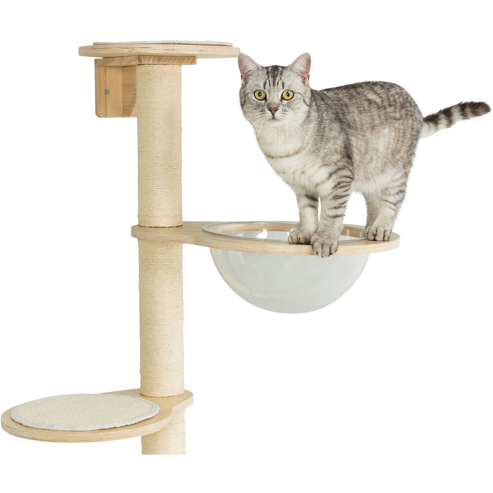 Mateo Wooden & Sisal 4-Level 54.3" Wall Mount Cat Tree, Scratching Posts & Condo