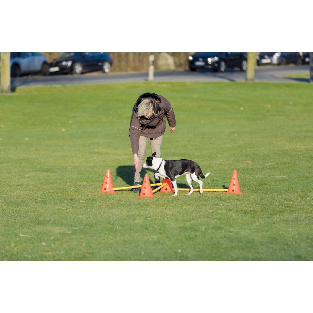 Dog Agility Hurdle Cone Set, Obstacle Training