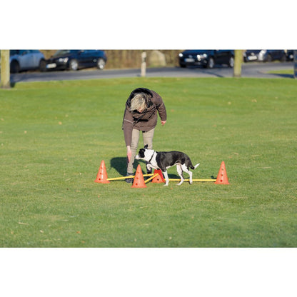 Dog Agility Hurdle Cone Set, Obstacle Training