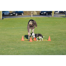 Dog Agility Hurdle Cone Set, Obstacle Training