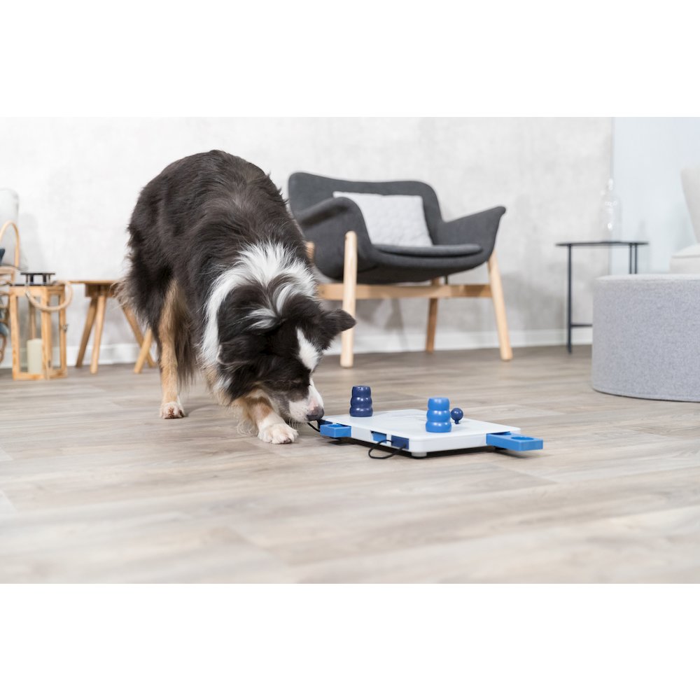 Dog Activity Move2Win Strategy Game, Level 3, Advanced Dog Puzzle Toy,