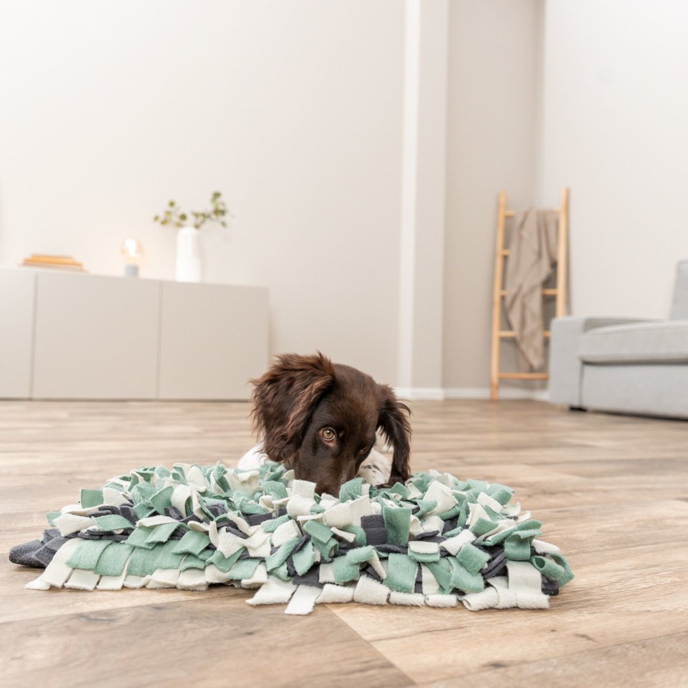 Snuffle Mat for Dogs Level 1 Enrichment Puzzle for Dogs Slow Feeder