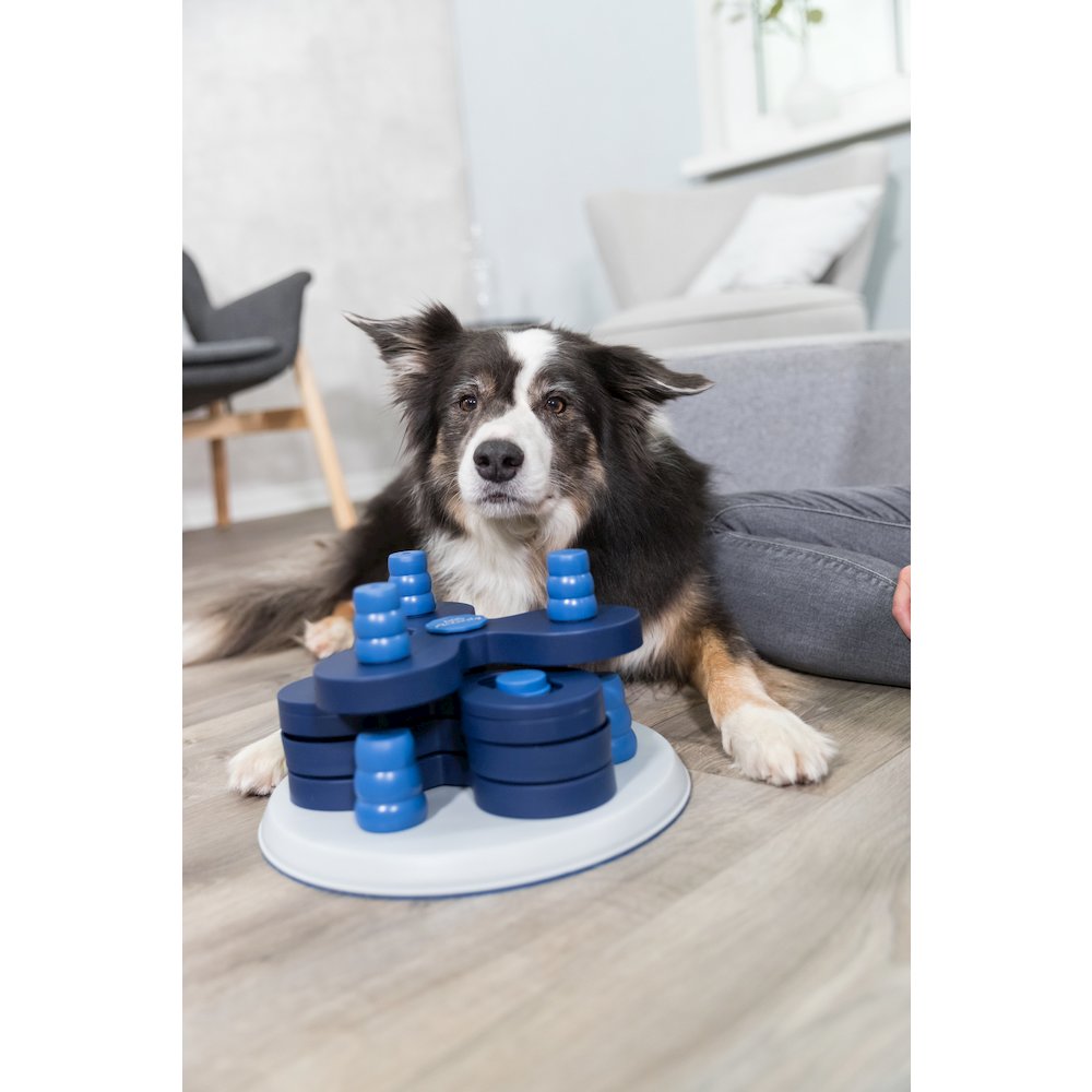 Dog Activity Flower Strategy Game, Level 3, Advanced Dog Puzzle Toy