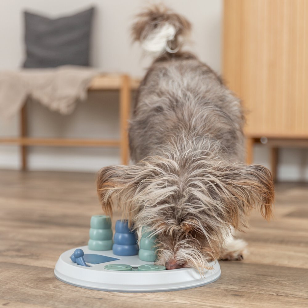 Dog Activity Flip Board XXL Strategy Game, Level 2 Dog Puzzle Toy, Dog Treat Toy
