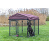 Deluxe Outdoor Dog Kennel, Medium