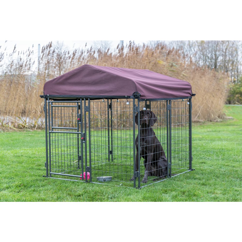 Deluxe Outdoor Dog Kennel, Medium