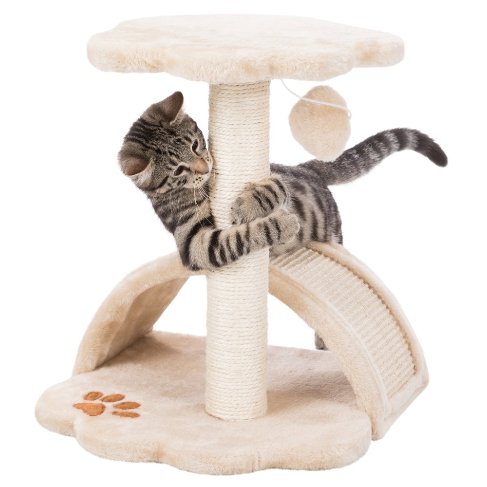 Vitoria Plush & Sisal 17" Cat Scratching Post with Platform, Beige