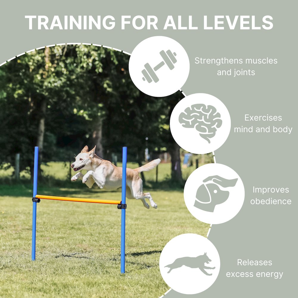 Dog Agility Hurdle, Obstacle Training