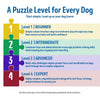 Dog Activity Skills Loop Strategy Game, Level 4 Advanced Food Puzzle