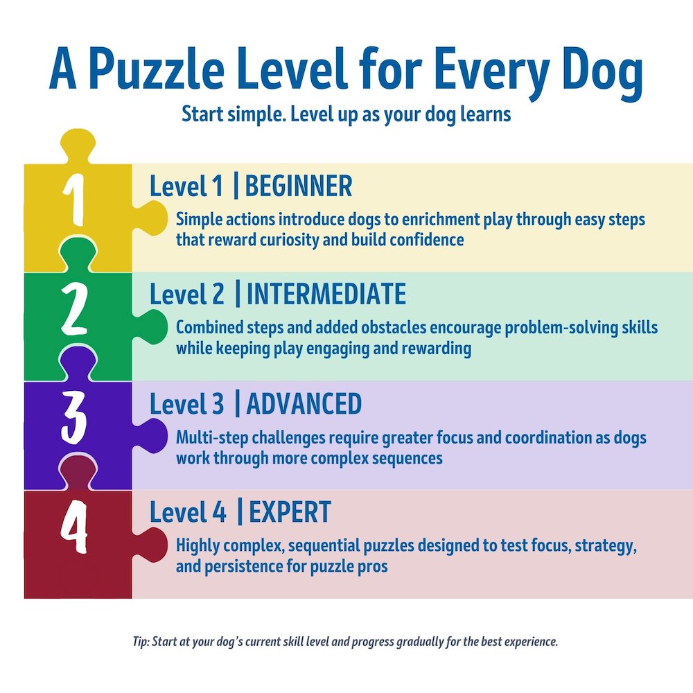 Dog Activity Skills Loop Strategy Game, Level 4 Advanced Food Puzzle