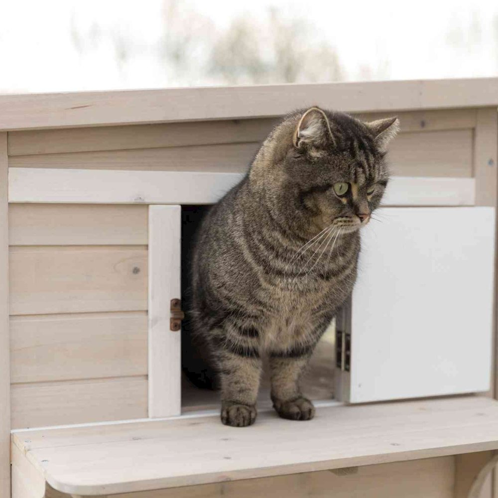 Outdoor 3-Story Cat House, Weatherproof Cat Shelter, Escape Doors and Windows