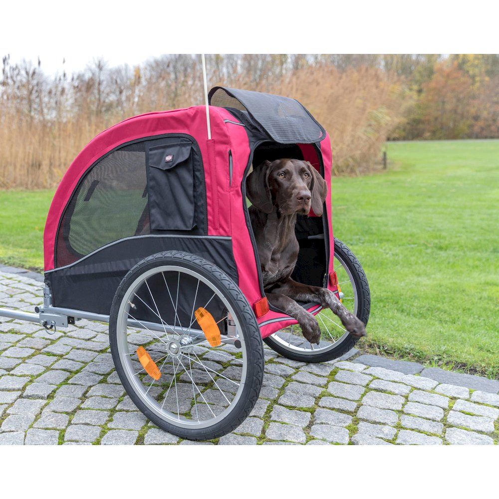 Foldable 2-in-1 Bicycle Trailer for Large Dogs with Windows, Black & Red