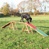 Dog Agility Dogwalk, Obstacle Training