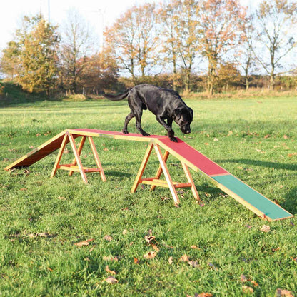 Dog Agility Dogwalk, Obstacle Training