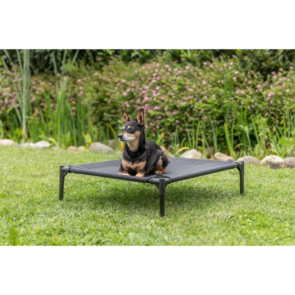 2-in-1 Elevated Portable Dog House or Dog Cot & Tent for Small-Medium Dogs