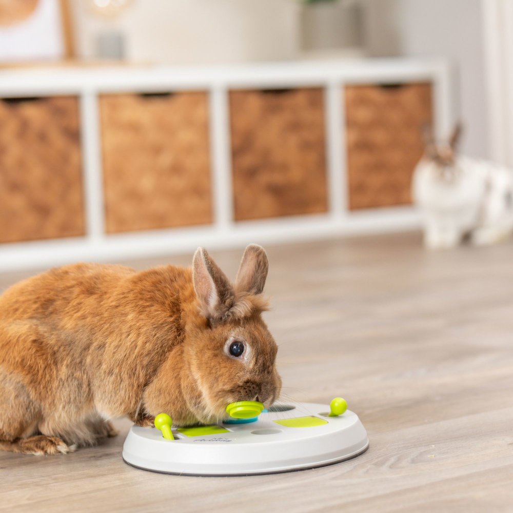 Rabbit Flip Board Strategy Game