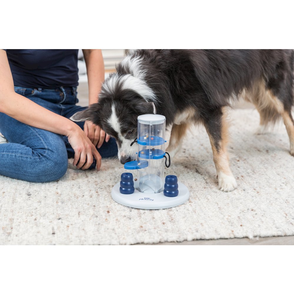 Dog Gambling Tower Strategy Game, Level 1, Beginner Dog Puzzle Toy