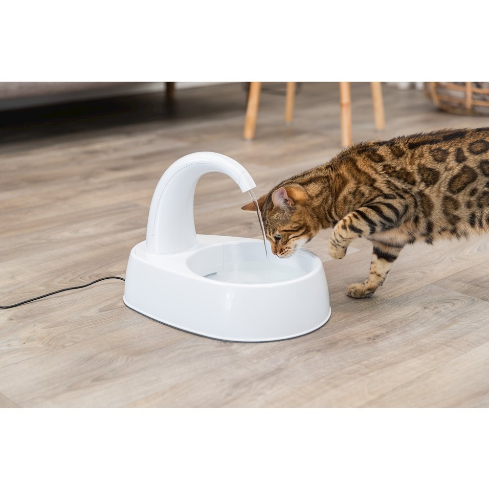 Curved Stream 84.5oz Drinking Fountain for Cats and Dogs