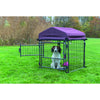 Deluxe Outdoor Dog Kennel, Small