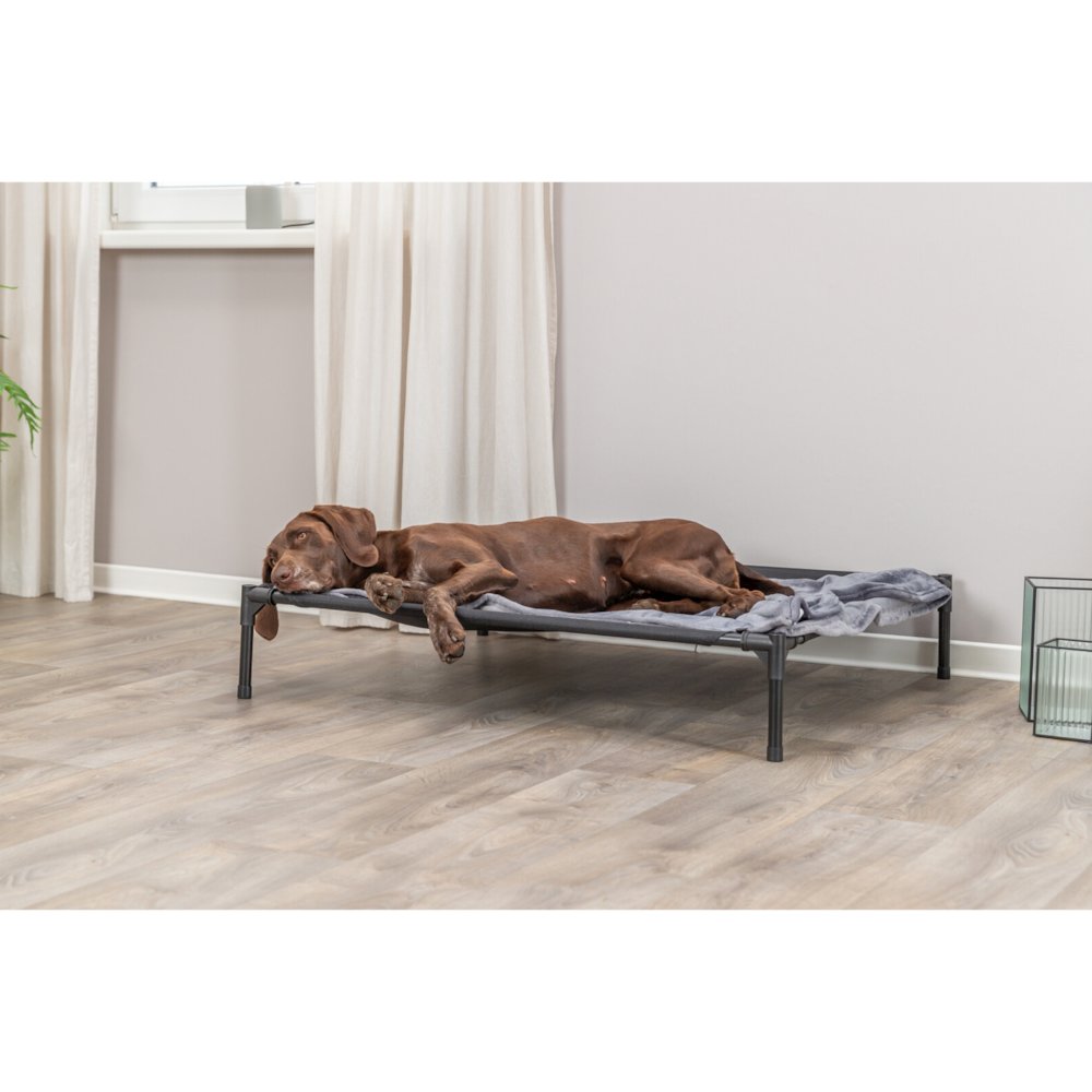 2-in-1 Elevated Portable Dog House or Dog Cot & Tent for Medium-Large Dogs