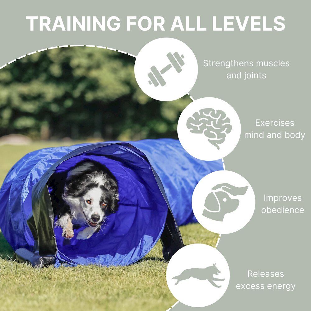 Dog Agility Tunnel 16.5', Portable Dog Training Tunnel, Obedience