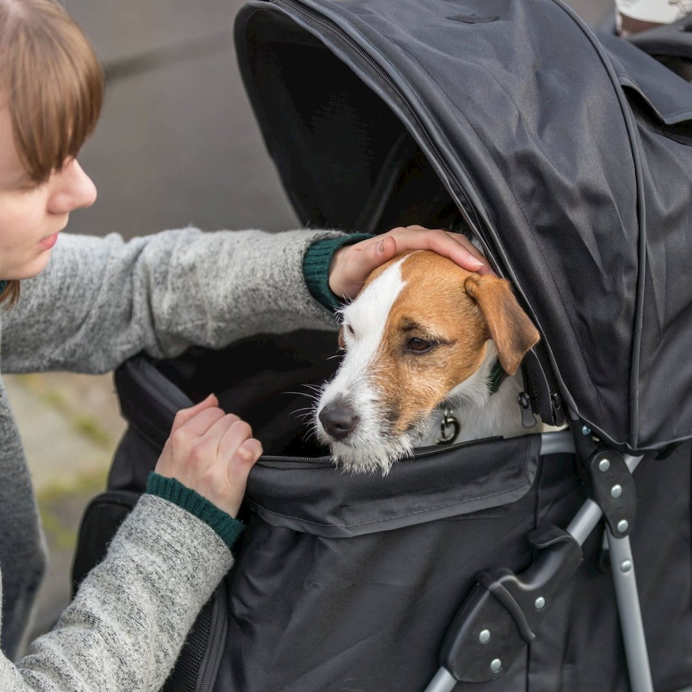 3-Wheeled Foldable Dog & Cat Stroller with Canopy and Storage Compartments